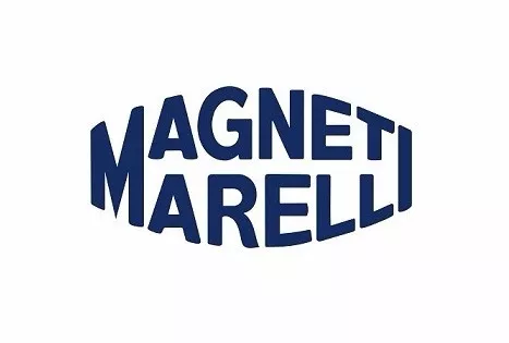 7. magneti